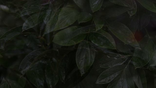 А. Льдоков. Весточка смотреть онлайн