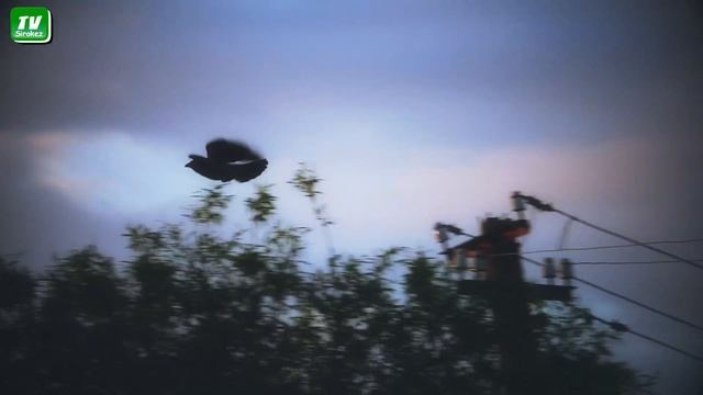 У природы нет плохой погоды смотреть онлайн