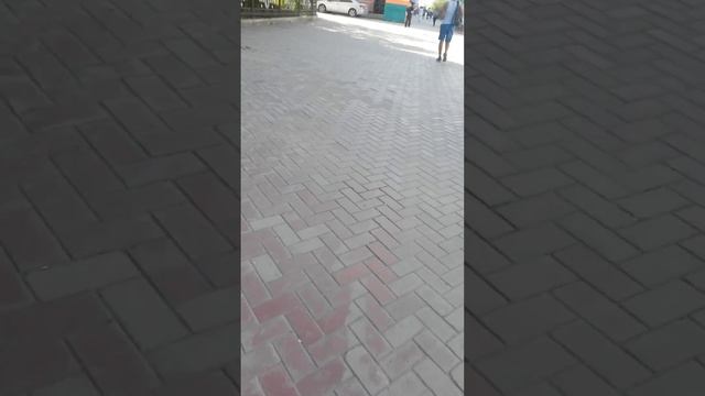 Дорога к прокату от площади Ленина (Якутск)