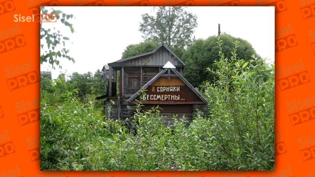 55 ЛЮТЫХ ДАЧНИКОВ, КОТОРЫЕ ЗАШЛИ СЛИШКОМ ДАЛЕКО! смотреть онлайн