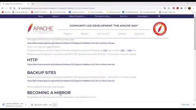 COMO INSTALAR O NETBEANS (COM JDK) смотреть онлайн