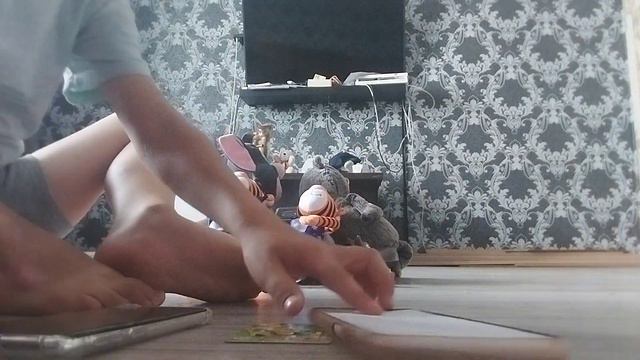 дата награждения моих питомцев Кто снимался в моём канале смотреть онлайн