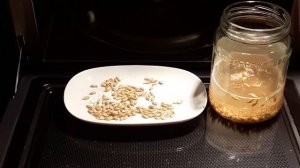 Солод своими руками. От ячменя до обжарки. Спецсолода.