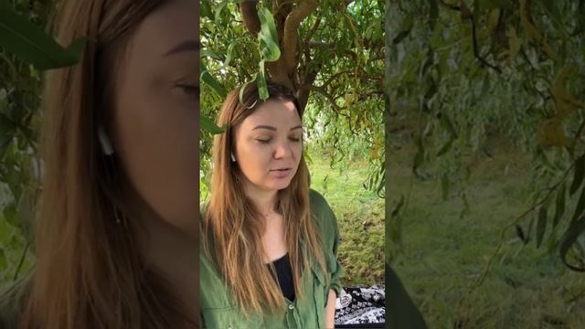 Практика Я ЕСТЬ