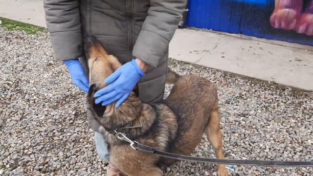 Волшебная девушка Луша смотреть онлайн