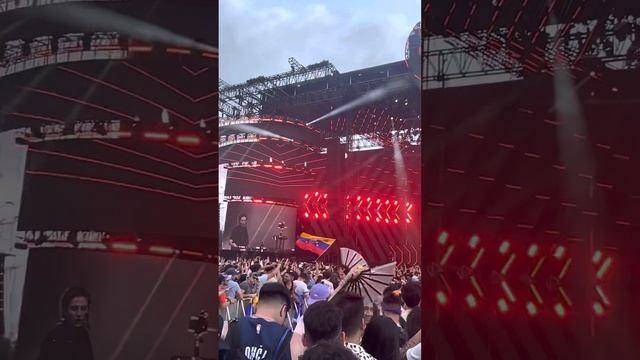 Push Up - Charlotte de Witte - Ultra Music Festival - Main Stage - Miami 2023 смотреть онлайн