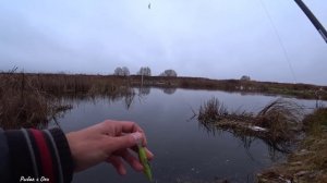 ТАКОМУ Радуешься КАК Ребенок! Рыбалка на Щуку с Берега на Спиннинг! Джиг-Твичинг!