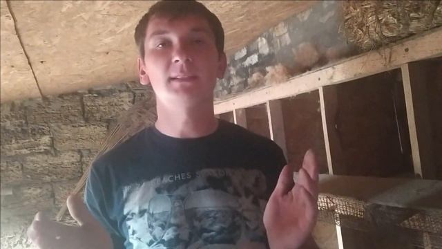 Сохраняем яйценоскость у кур во время "линьки"!! Можно ли отменить "линьку"! Секреты содержания кур смотреть онлайн