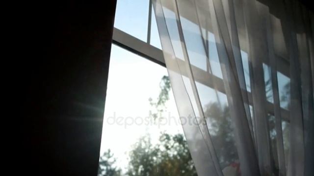 Он нашел собаку в парке смотреть онлайн