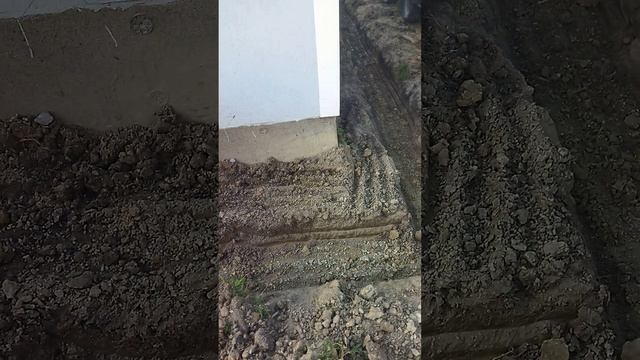 Мастерская мечты 111 день ЧАСТЬ 1 #shorts смотреть онлайн