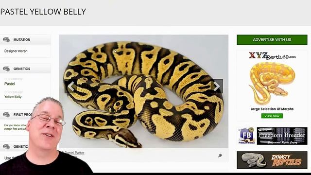 The Amazing 'Pastel' Ball Python! смотреть онлайн