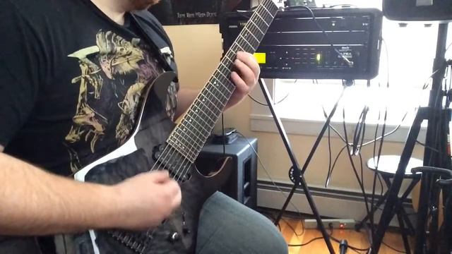 Seymour Duncan Nazgul/Sentient 8 sound test смотреть онлайн