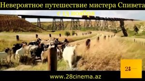 Невероятное путешествие мистера Спивета