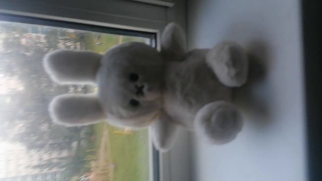 VID_20240815_190307.mp4