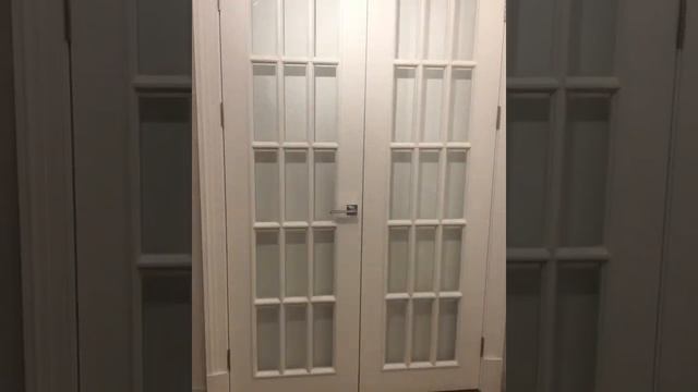 Двери в эмали