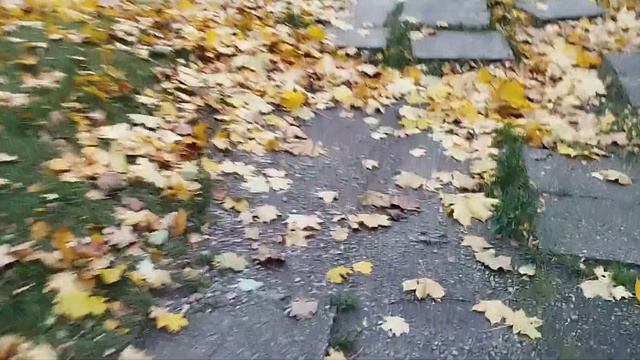 5 слонов похудения смотреть онлайн