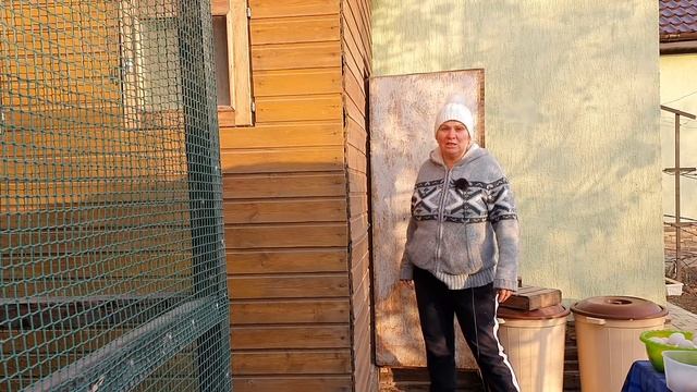Куры зимой в неотапливаемом курятнике ??? Мои куры несутся зимой как летом! смотреть онлайн