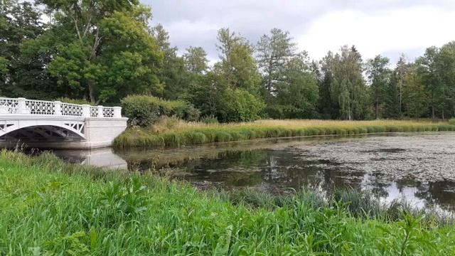 Диктант для 7 классов смотреть онлайн