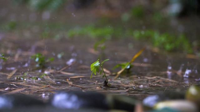 RELAX MUSIC. SLEEP RELAX MUSIC. КРАСИВАЯ СПОКОЙНАЯ МУЗЫКА. смотреть онлайн