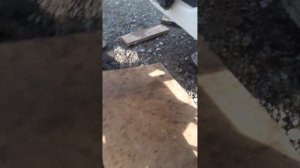 Устранение течь масла Шакман (Шанкси )  WP-10.