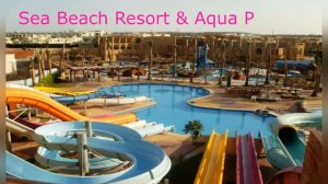 Отели Египта с аквапарками для семейного отдыха. Цены на туры с перелетом и без