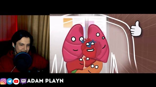 Что происходит когда мы Смеёмся ? ► Наше Тело Реакция от АДАМА ПЛЕЙНА смотреть онлайн