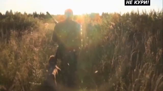 Охота на дупеля с дратхааром. Охота по болотно-луговой дичи . 2018 смотреть онлайн
