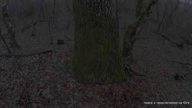 Шутливый ролик про коп. Но доля правды в нем есть. смотреть онлайн
