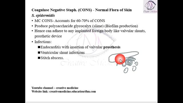 Lec 23 Staphylococcus Coagulase Negative Staphylococcal Aureus || Microbiology смотреть онлайн
