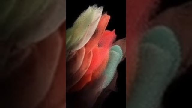 Музыка под звонок телефона (четвертая часть) смотреть онлайн