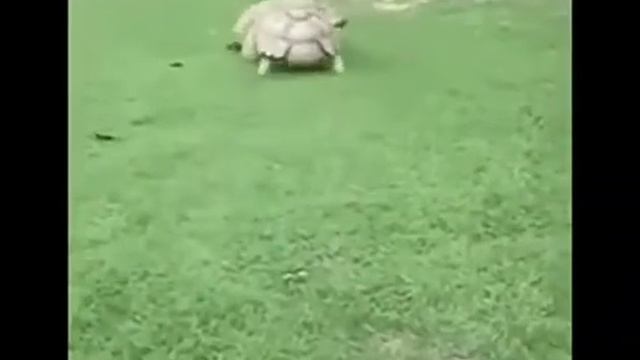 Песня у друзей не бывает выходных смотреть онлайн