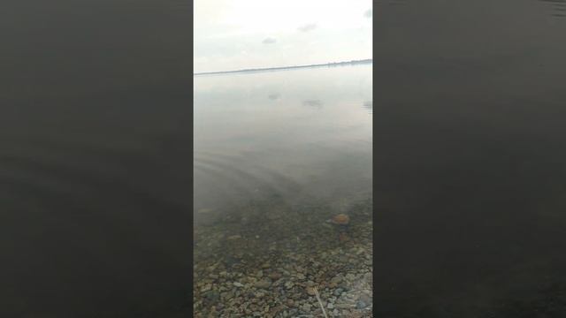 Ребёнок кидает камни в реку Днепр смотреть онлайн