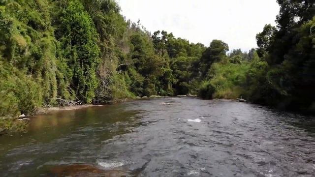 ПАУТИНА ЛЖИ И ЛИЦЕМЕРИЯ смотреть онлайн