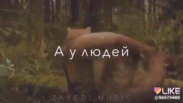 6 ноября 2018 г. смотреть онлайн