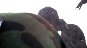 Установка таблетки (ваз 2108-  2115) вместо шоколадки на генератор москвича.