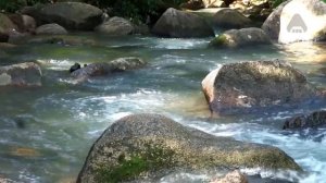 Romantic Piano Love Songs Ever  - Relaxing Music With Water Sounds For Stress Relief, Study