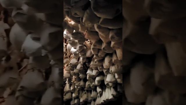 С лёгким паром подруги! ??️?? смотреть онлайн