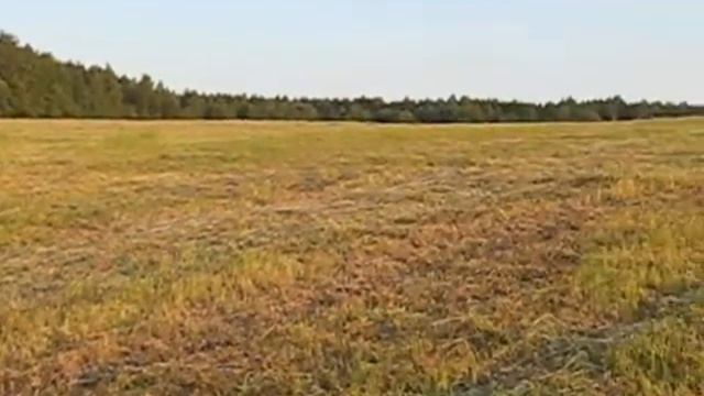 волынка в полях дуэт.wmv смотреть онлайн
