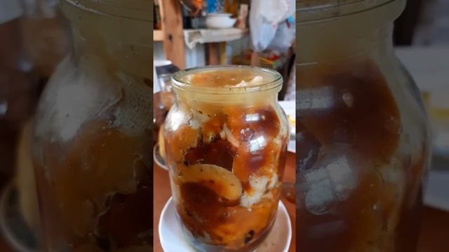 Квасим зимний опенок. смотреть онлайн