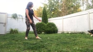 Команда АПОРТ и НЕЛЬЗЯ - как научить щенка команде НЕЛЬЗЯ