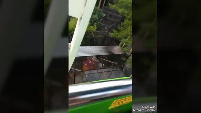 Новосибирский Зоопарк. смотреть онлайн