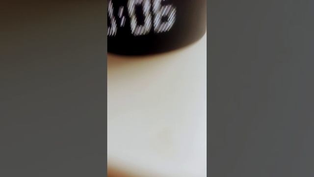 Алиса включила песьню мистар бист ???? смотреть онлайн