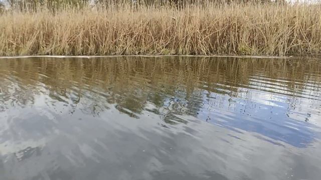 Убывающая луна в апреле 2021. Что можно и нельзя делать. Влияние убыващей луны. смотреть онлайн