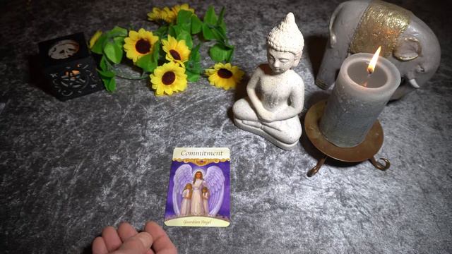 Stjernetegnene Løven og Skytten, foråret 2020, Tarot og Englekort. смотреть онлайн