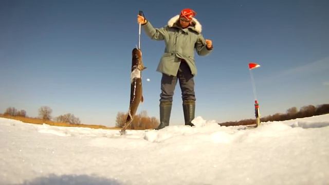 Зимняя жерлица Большая щука на жерлицы смотреть онлайн