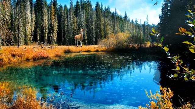 Relax Narure Piano Music