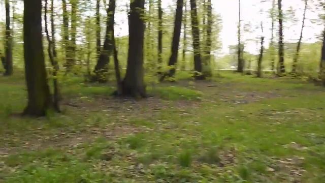 041 07 05 2016 Г В ПРЕДДВЕРИИ ПРАЗДНИКА .... смотреть онлайн