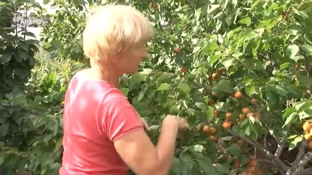 С.Прокопенко об опасностях дачного сезона смотреть онлайн