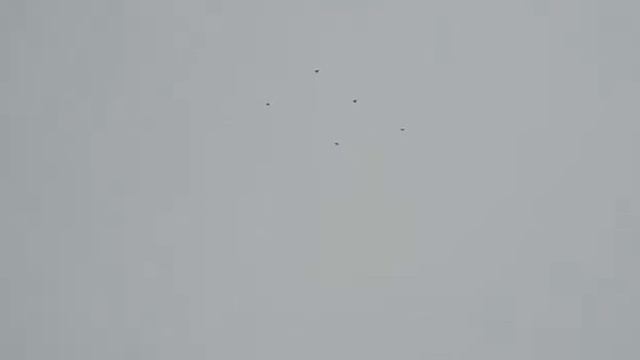 голуби.Сергея.с.Елань-Колено.Воронежской.обл. смотреть онлайн