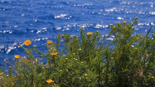 ?Красивая музыка для исцеления, любви, медитации и сна (флейта, пианино, арфа) смотреть онлайн